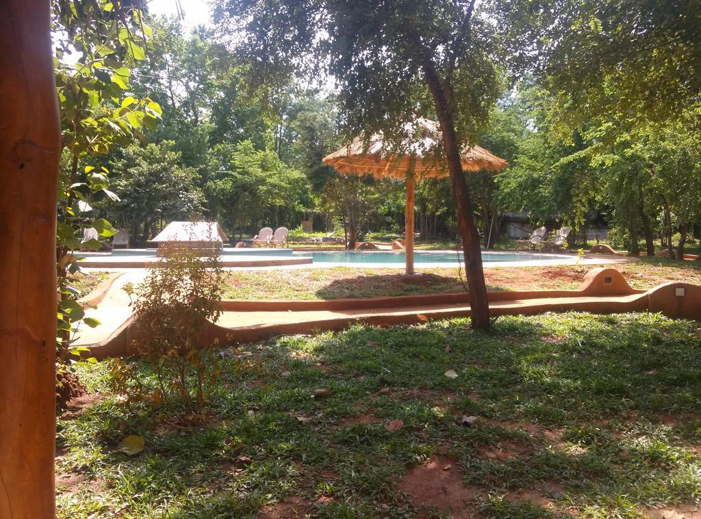 Kuwera Eco Lodge Sigiriya Ngoại thất bức ảnh