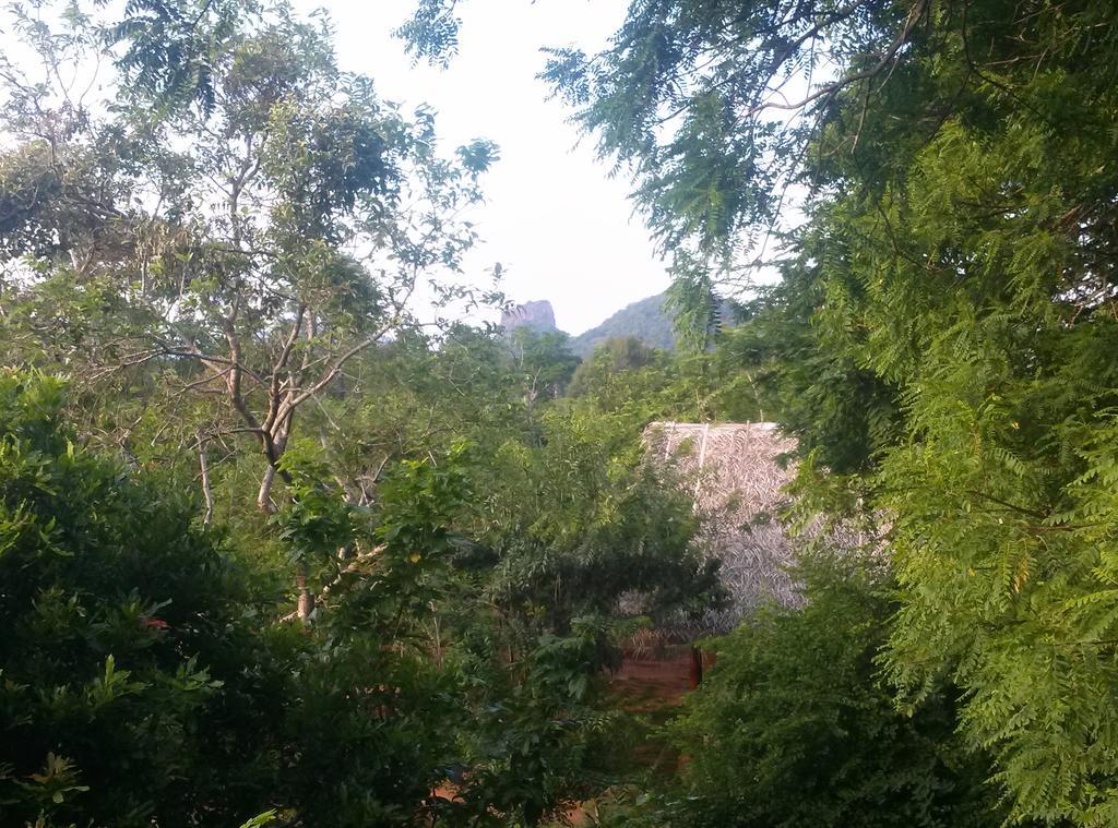 Kuwera Eco Lodge Sigiriya Ngoại thất bức ảnh