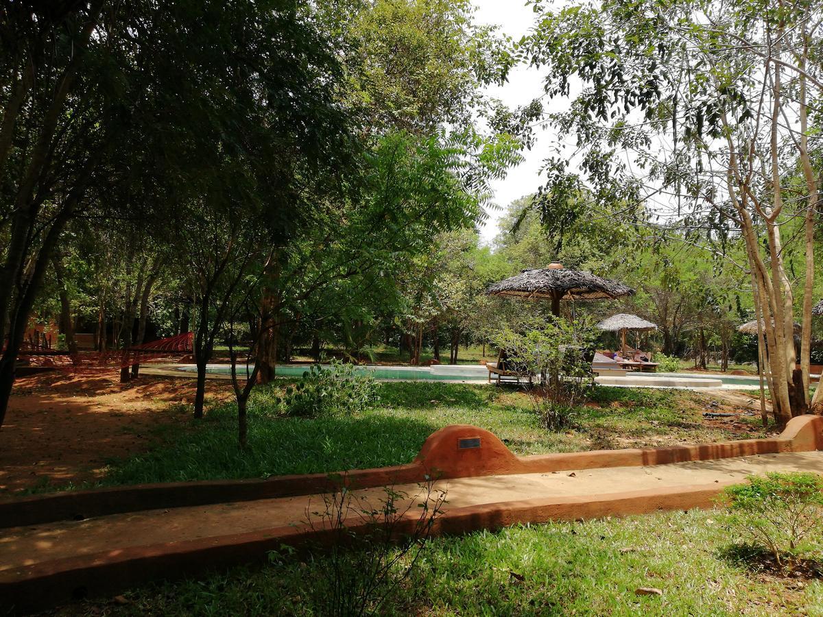 Kuwera Eco Lodge Sigiriya Ngoại thất bức ảnh