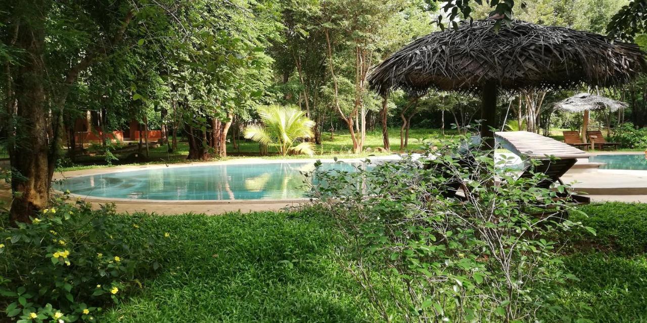 Kuwera Eco Lodge Sigiriya Ngoại thất bức ảnh